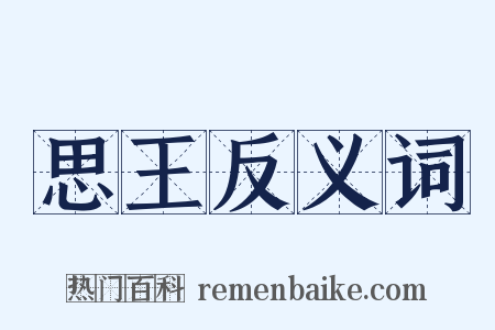 思王反义词是什么意思的图片